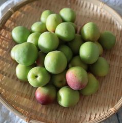 ●青梅/2L/1kg applemint