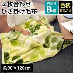 訳あり品 ひざ掛け毛布 90×120cm 2枚合わせ 膝掛け 暖かい毛布 ブランケット 色柄おまかせ　新品　【10C-409-15021N】