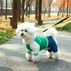 18 ドッグウェア つなぎ ロンパース スタジャン 柴犬 小中型犬用服 ペット服 春夏秋冬服 犬用 服 ペット 衣装 アウトドア ジャンプスーツ お散歩 リード用Ｄカン付き グリーン お出かけ