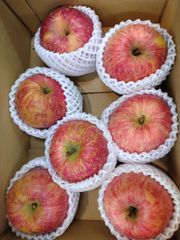 葉とらずりんご　フジ　7個入り（約2kg）