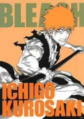 2025年最新】BLEACH アートカードの人気アイテム - メルカリ