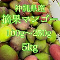 沖縄県産　摘果マンゴー　箱込5kg