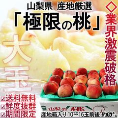 お中元ギフト 極限の桃 約5kg 大玉限定 10～16玉前後 山梨県産 白鳳・白桃・加野岩白桃・浅間白桃・川中島白桃・なつっこ・あかつき等品種リレー