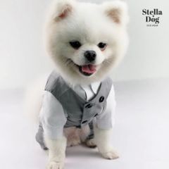 【閉店セール全品半額】大きいサイズ　フォーマルベスト　タキシード　スーツ　誕生日　結婚式　犬服　ペット