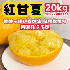 メルカリ最安値】訳ありデコポン 10kg 不知火 シラヌイ みかん