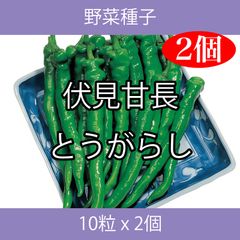 野菜種子 TVK05 伏見甘長とうがらし 10粒 x 2個