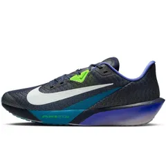 NIKE ナイキ メンズ シューズ AIR ZOOM RIVAL FLY 4 エア ズーム ライバル フライ 4 FV6040-401