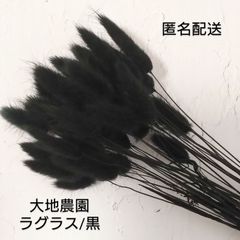 大地農園　ラグラス/黒　新品一束