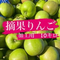 摘果りんご　サンフジ　加工用10キロ