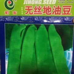 モロッコいんげん 25粒 无丝地油豆 东北油豆角 无架 非爬藤