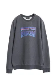 【お得なクーポン配布中!】 パタゴニア プリント スウェット メンズ S 17年製 トレーナー ストレッチ カットソー 長袖 Tシャツ ロンT グラフィック クルーネック 薄手