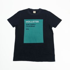 HOLLISTER ホリスター フロントプリント 半袖Tシャツ M