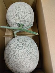 アールスメロン　熊本県産