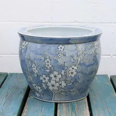 2026年最新】水瓶 メダカの人気アイテム - メルカリ