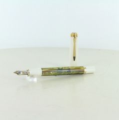 SAILOR PROFIT21 透明 万年筆 字幅M - メルカリ