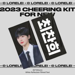 #312 THEBOYZ ニュー 60×30サイズ 反射スローガン