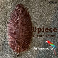 ◾️⭐︎【ORs6茶】10本15-19cm オーストリッチ フェザー 羽根