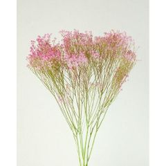 Item thumbnail for item 51062650-9086-4ddf-85f7-5f71f5ee1b0f