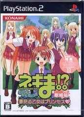 【中古】PS2ソフト ネギま!?どりーむたくてぃっく 夢見る乙女はプリンセス [歌姫版]