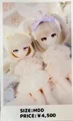 【最終値下】MDD ロンシュカ服 ディーラー様製 Amazon.co.jp: 14ドール服 ディーラー様製 MDD MSD お洋服 地雷