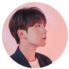 【中古】シール・ステッカー スングァン(SEVENTEEN) クリアステッカー 「CD An Ode(VER.1/Begin)」 封入特典