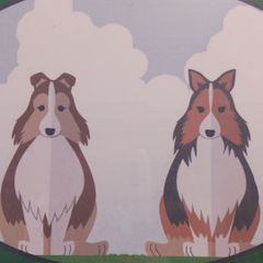 桃夢様専用 犬の無添加おやつ - メルカリ