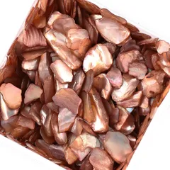 ネイルパーツ シェル ストーン ブラウン 50g 1ー7mm 貝殻 レジン ネイルアート デコ クラッシュ ハンドメイド パーツ BD3383