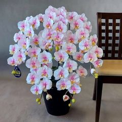 造花胡蝶蘭DXL-絞りピンク 5F  高85cm×巾50cm 造花・光触媒コーティング