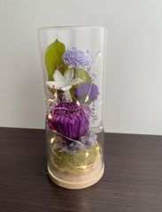 Reine De Fleur レンデフロール プリザーブドフラワー かすみ草 - メルカリ