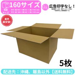 段ボール ダンボール 箱 160サイズ 5枚セット 新品 国産 梱包材 梱包資材