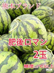 熊本県産　スイカ　肥後浪漫　2L 7〜8㌔　訳あり　農家直送