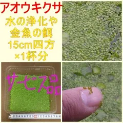 2025年最新】アオウキクサの人気アイテム - メルカリ