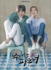 韓国ドラマ　怪しいパートナー OST オリジナルサウンドトラックCD 韓国正規盤 ☆韓国ドラマ『あやしいパートナー』 韓国盤ost チチャンウク