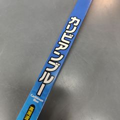 カリビアンブルー　高周波点灯専用形スリム蛍光ランプ　FHF24形　24W