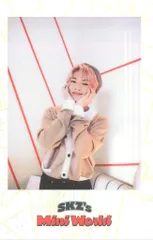 StrayKids MINI WORLD I.N 2023 Seasons Greeting 白/POB