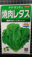 焼肉 レタス チマ サンチュ チマサンテ 種 ３袋セット