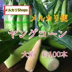 新鮮ヤングコーン(ベビーコーン)100本 楽天市場】《皮付き生ベビーコーン 100本以上》ヤングコーン【朝