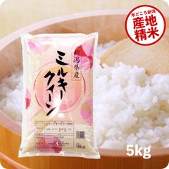 米 新潟県産ミルキークイーン5kg お米 令和5年産 白米