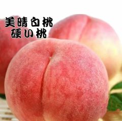 山形県産　美晴白桃　桃　硬桃　モモ　もも