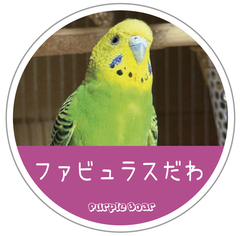 送料無料　セキセイインコ　インコ「インコ　ファビュラスだわ　ステッカー」（約６０ｍｍ×約６０ｍｍ）