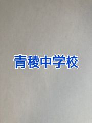 2026年版 青稜中学校  算数特訓と合格への算数プリント：ステップ1、２教材