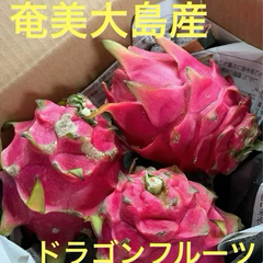 奄美大島産　無農薬栽培　ホワイトドラゴンフルーツ