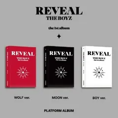 2024年最新】the boyz アルバム revealの人気アイテム - メルカリ