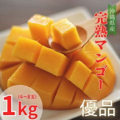 【予約商品】沖縄県産　完熟マンゴー　優品　1キロ　（2～5玉）（7月頃発送）