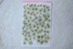 Item thumbnail for item 8fc97b32-d218-4ba7-848f-fb8e69abb9c3