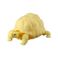 【商品番号14】　インドホシガメ （アルビノ黄色種）　フィギュア　フィギア　　爬虫類　亀　カメ　ガチャガチャ