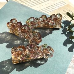 NO.2970夢限の花˚✧⁎⁺˳✧༚ドライフラワー レジンヘアゴム ブローチ