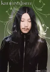 2025年最新】Kannivalismの人気アイテム - メルカリ