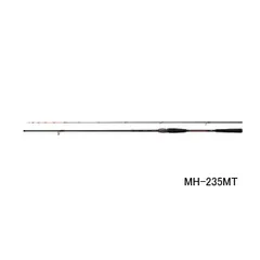 【新品未使用】ダイワ 紅牙 テンヤゲーム MX H/M-235 ダイワ 紅牙 テンヤゲーム EX H-225B 2020モデル (ベイト2ピース