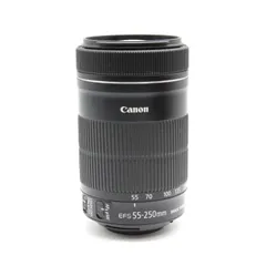 2024年最新】ef-s55-250mm f4-5.6 is stm aps-c対応 ef-s55-250isstmの